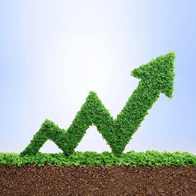 Rationalizing Rapid Growth into Greater Profitability