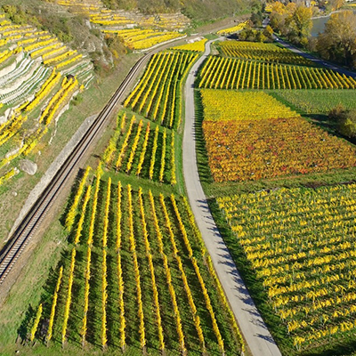 Shifting Agri-Food Paradigms