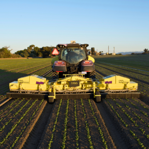 The Practical Innovator: Niqo Robotics’ Mission To Transform Global Agriculture