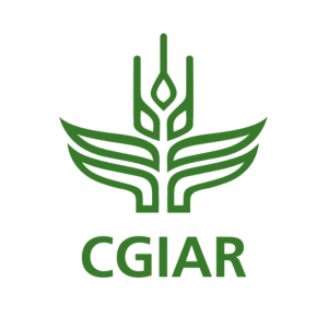 Company logo image for Marcela Quintero