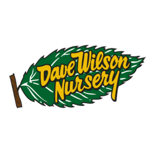 Company logo image for Seana Day