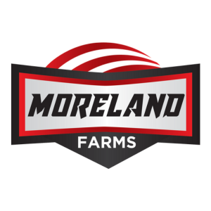 Company logo image for Matt Moreland