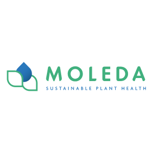 Moleda