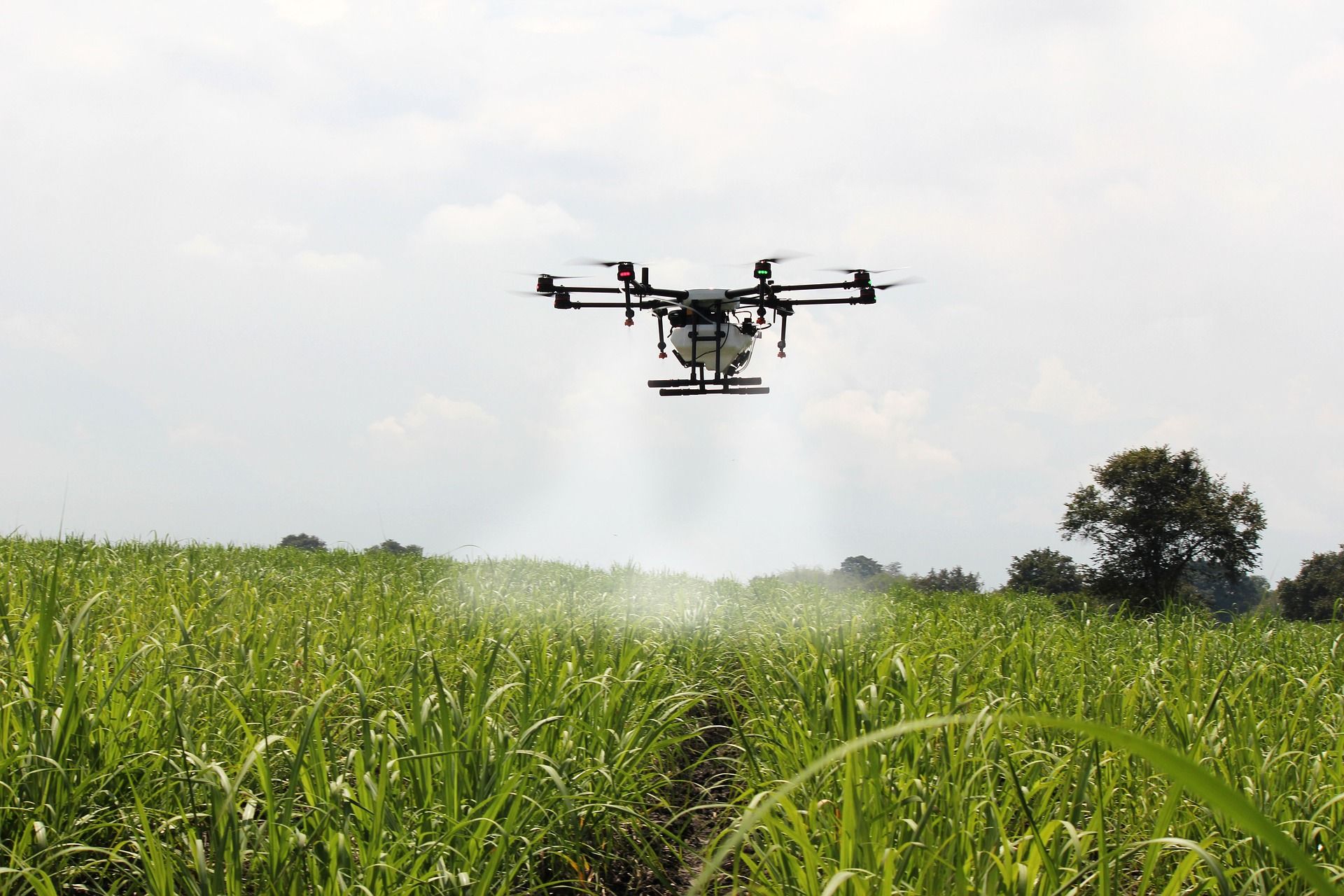 Automating the Farm