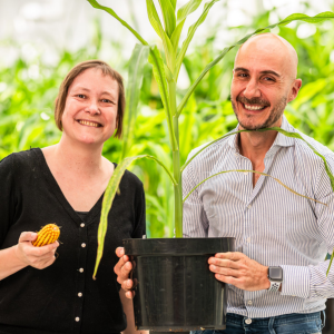 Rainbow Crops Awarded $7M Grant by Gates Foundation to Advance Climate-Resilient Crops