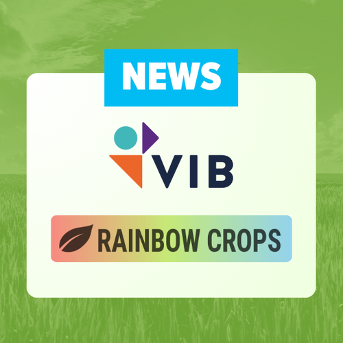 VIB launches new Agtech spin-off Rainbow Crops