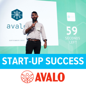 Start-Up Success: Avalo