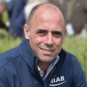 Mario Caccamo
