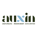 Auxin