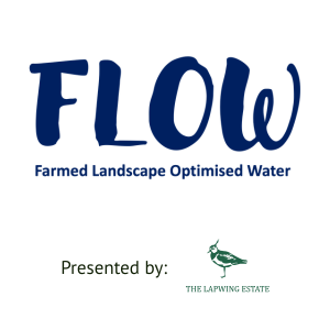 FLOW