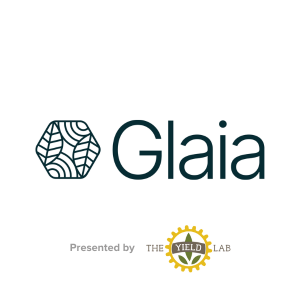 Glaia