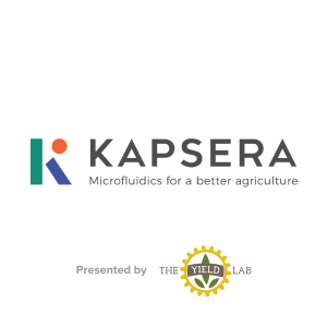 Kapsera