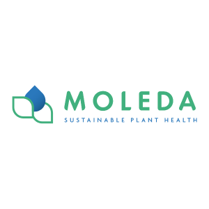 Moleda