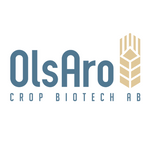 OlsAro