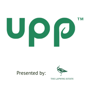 Upp