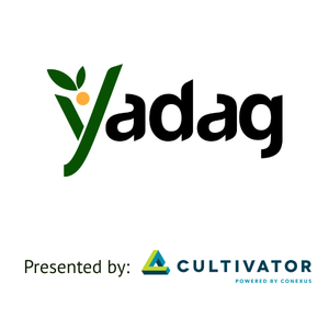 Yadag