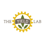 The Yield Lab Europe