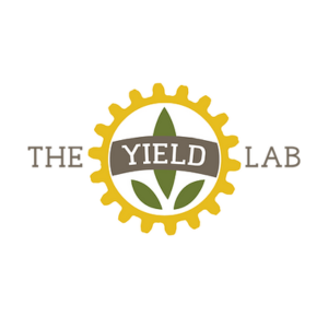 The Yield Lab Europe