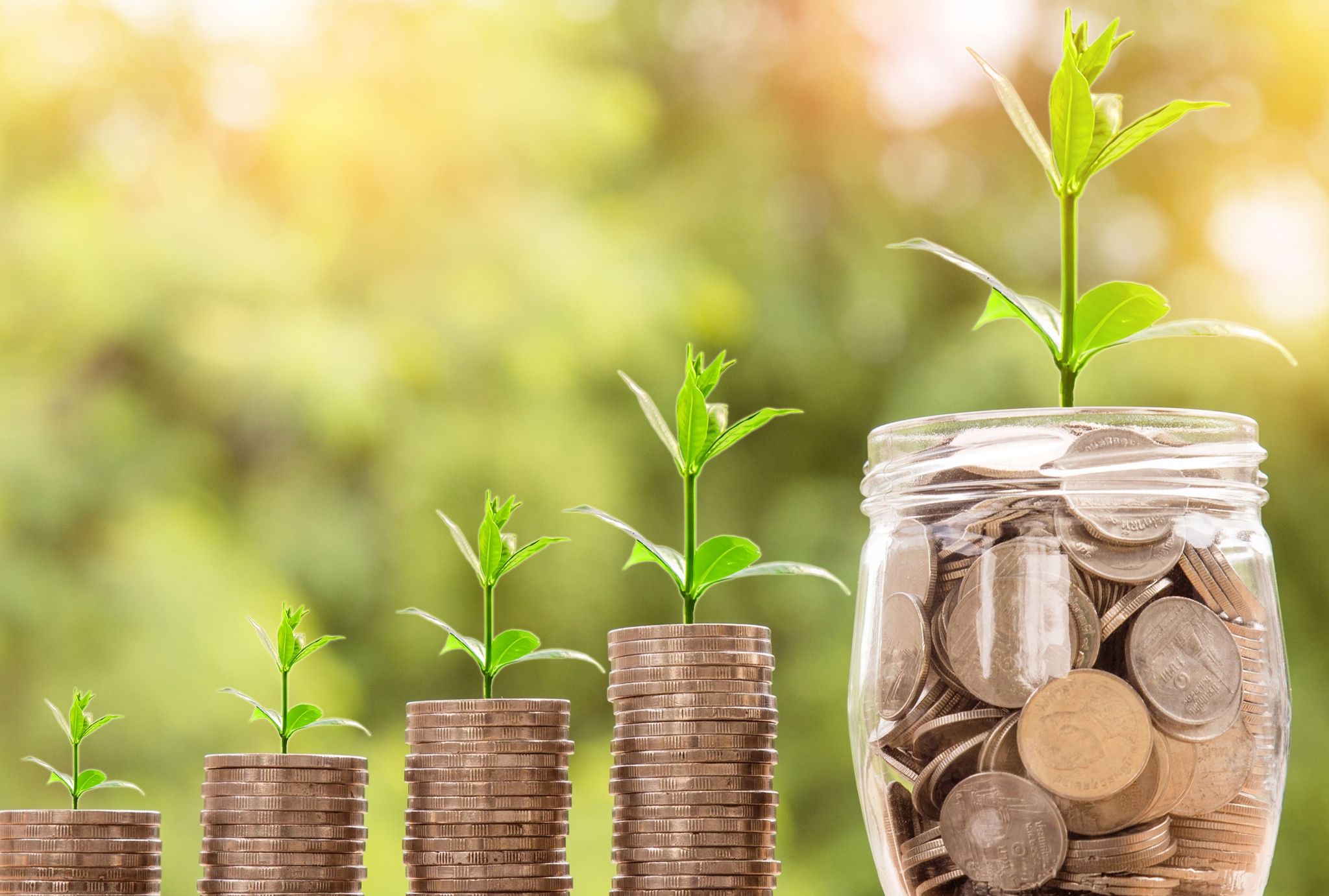 AgTech Investment