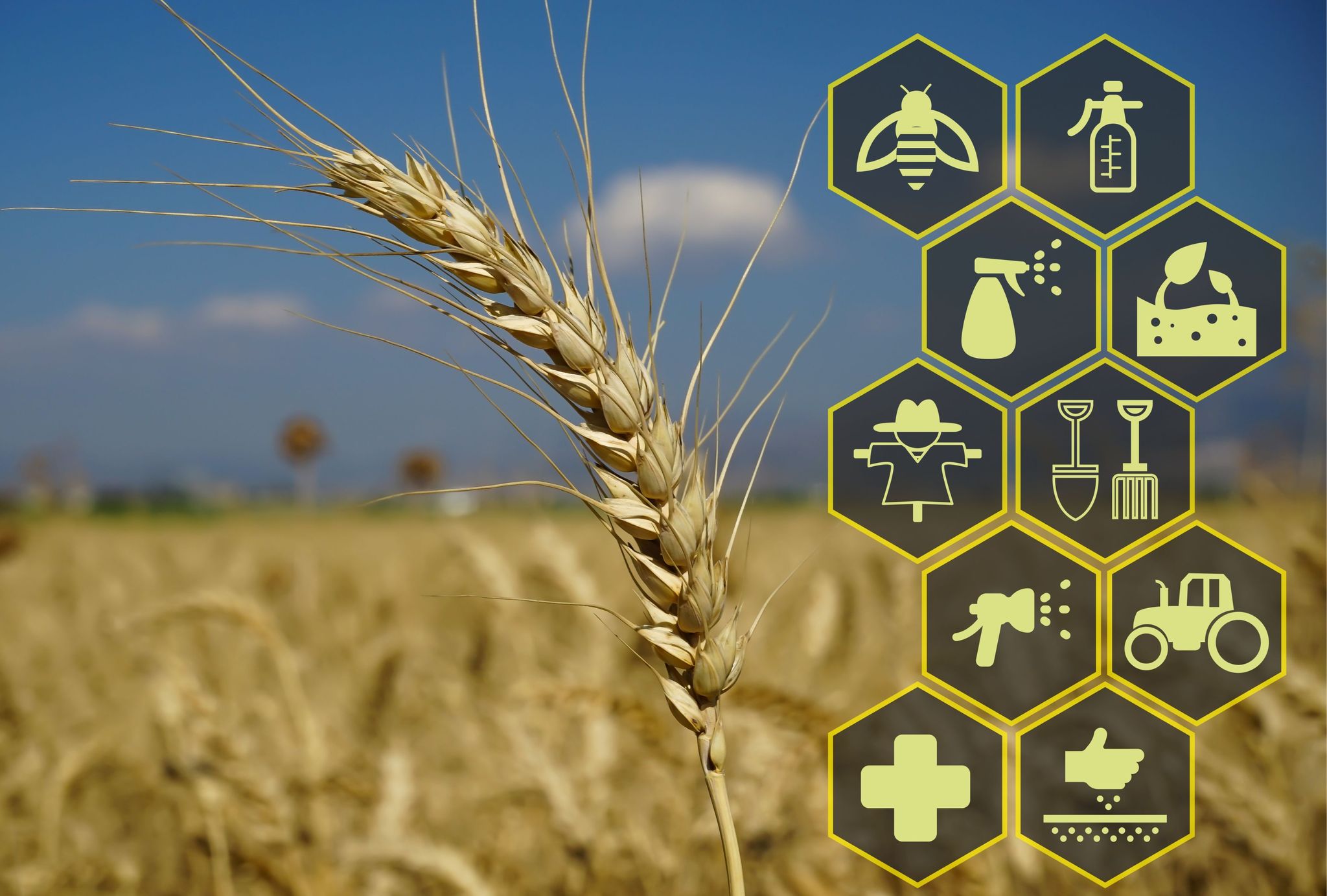 Biocontrol & Bio Nutrition