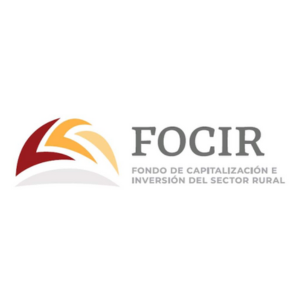 Director of Investments in Private Equity Funds