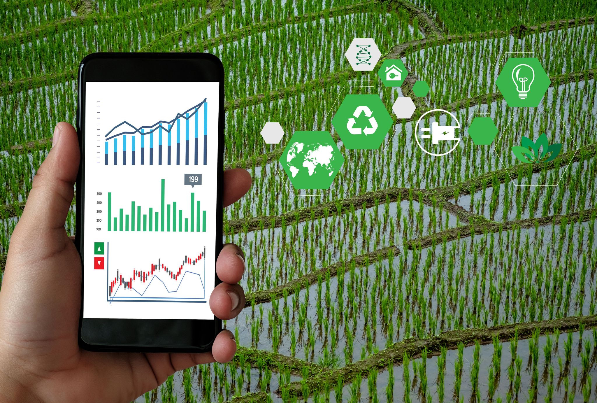 Financing Sustainable Agriculture