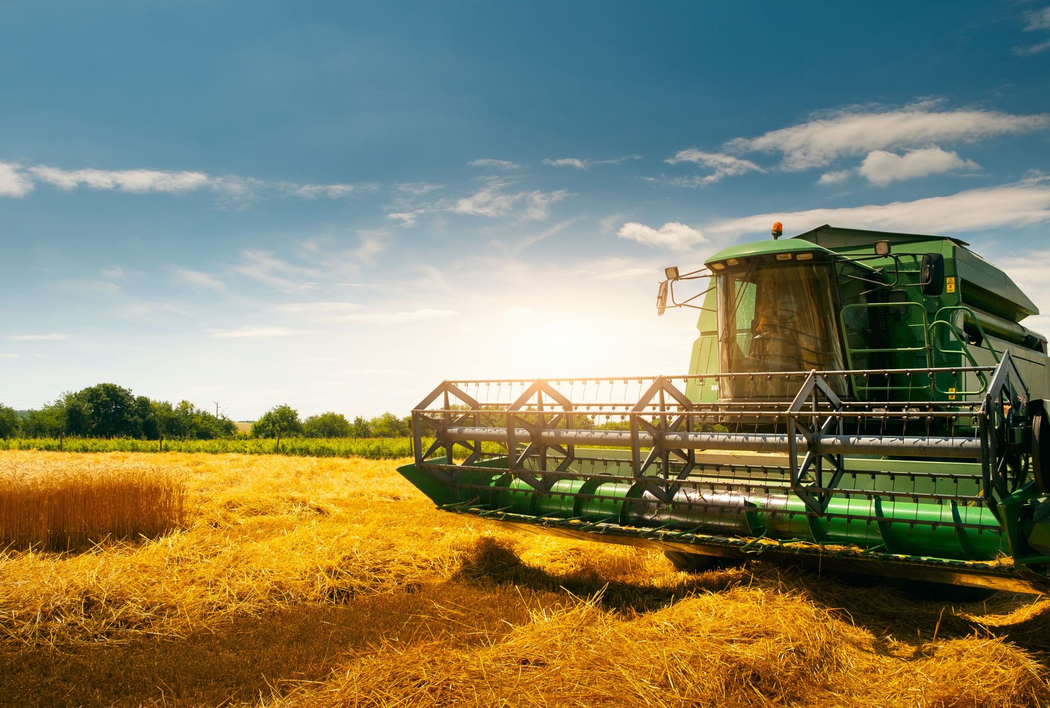 Post-Harvest Innovation