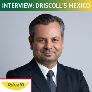 Driscoll's Mexico: Advancing Berry Production and Improving Labor Shortages