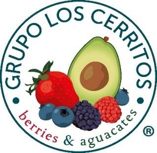 Company logo image for Armando García Angulo