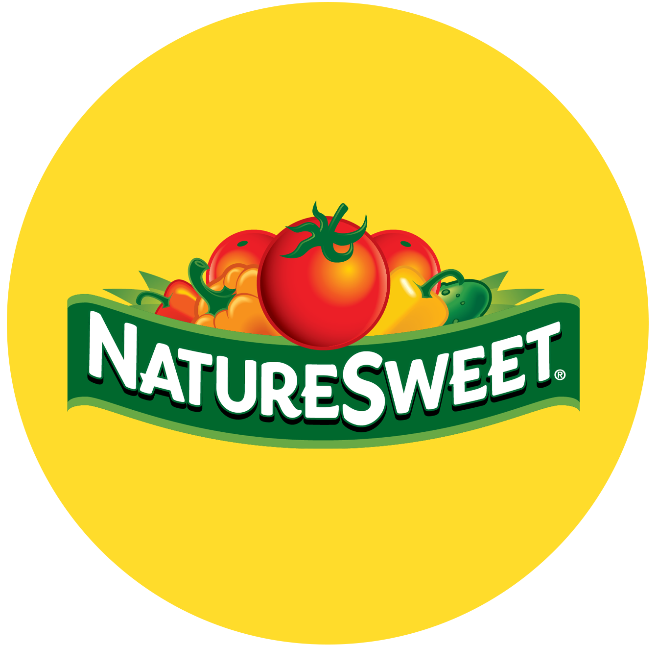 Company logo image for Martin Ruebelt