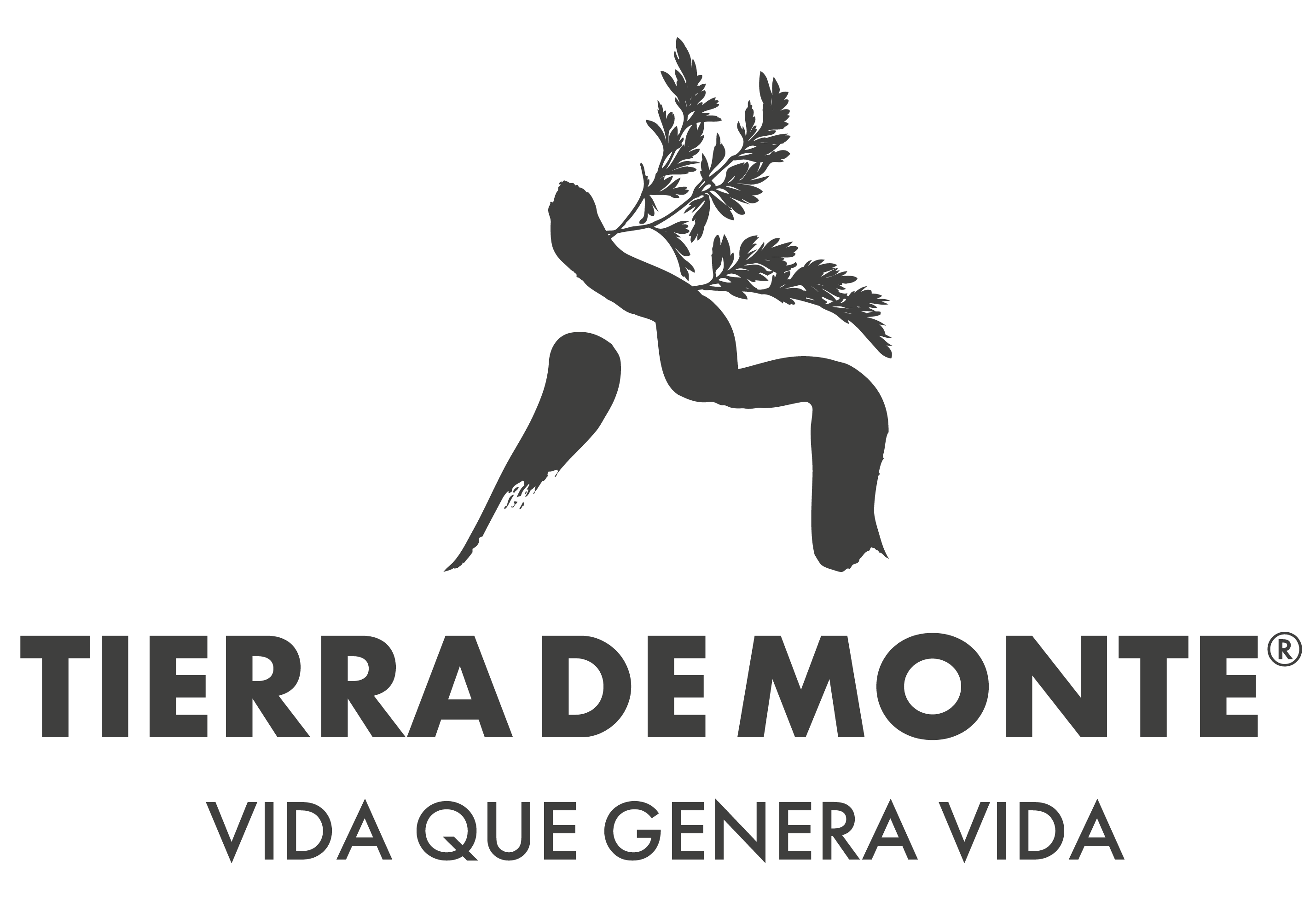 Company logo image for Etienne Rajchenberg