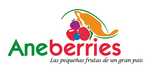 Anneberries