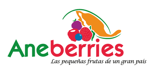 Anneberries