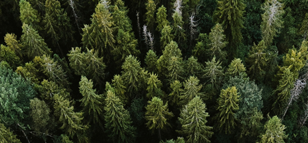 Finance for just and inclusive energy transitions